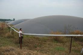 Hồ Biogas